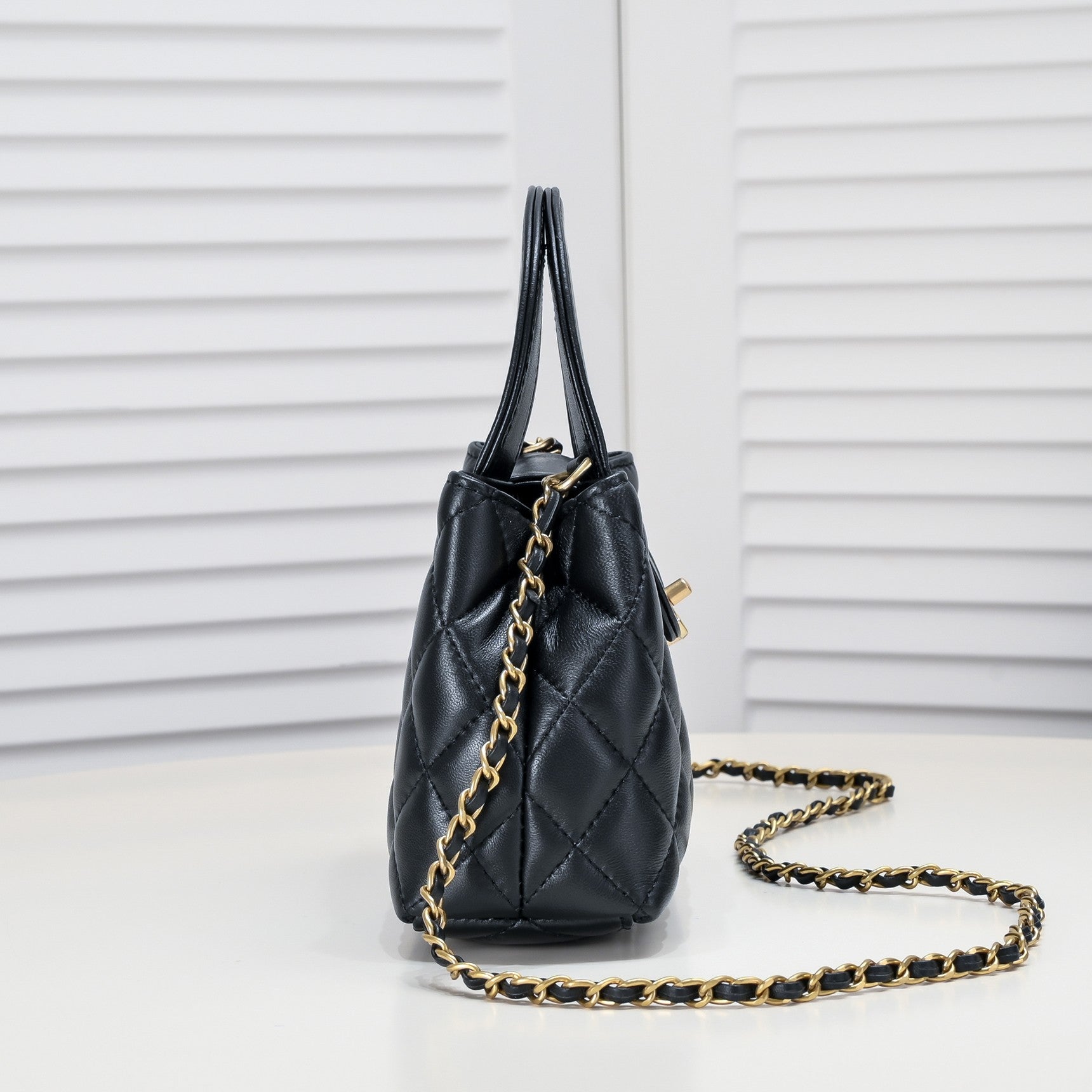 CAMELLIAS 19CM 6170 BLACK