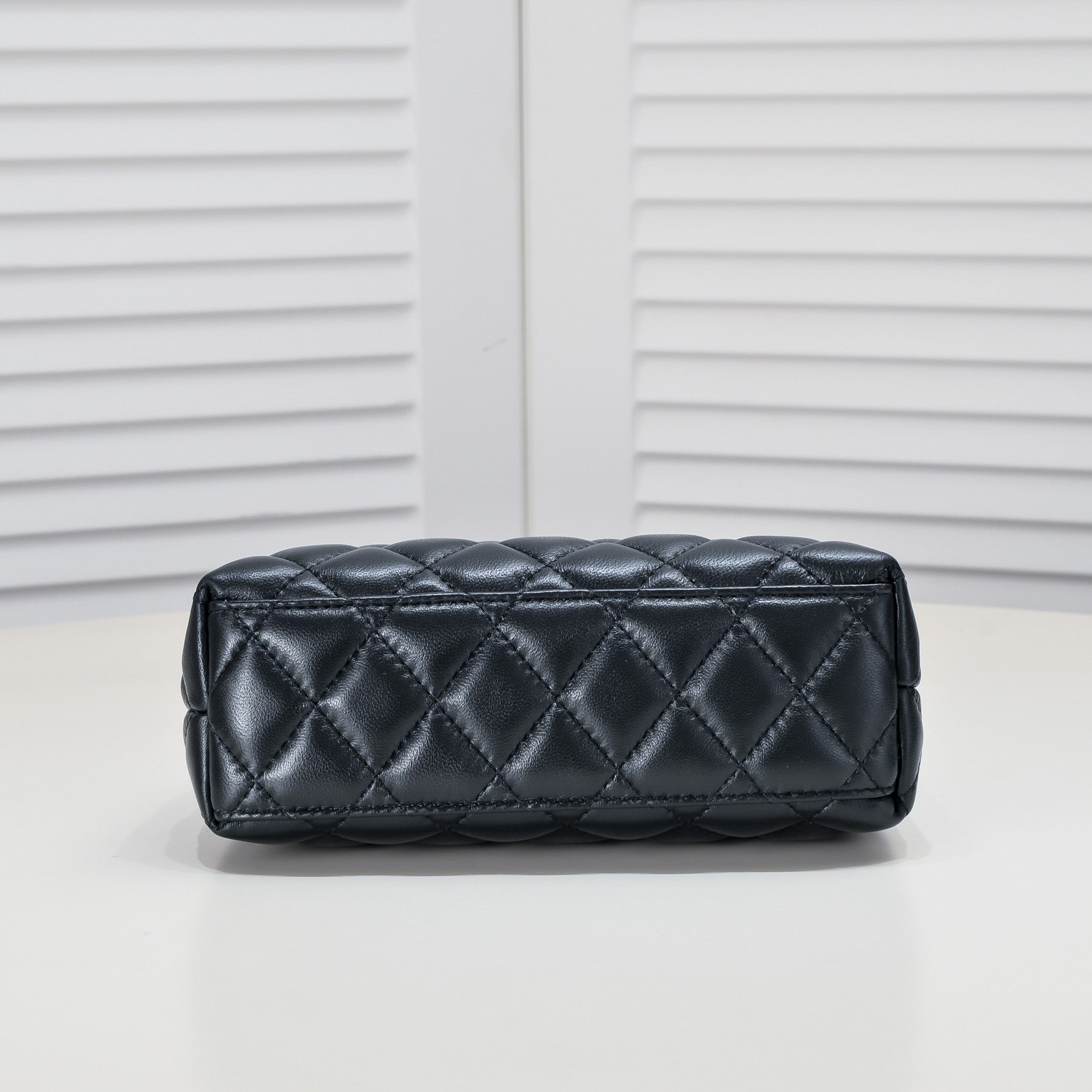 CAMELLIAS 19CM 6170 BLACK