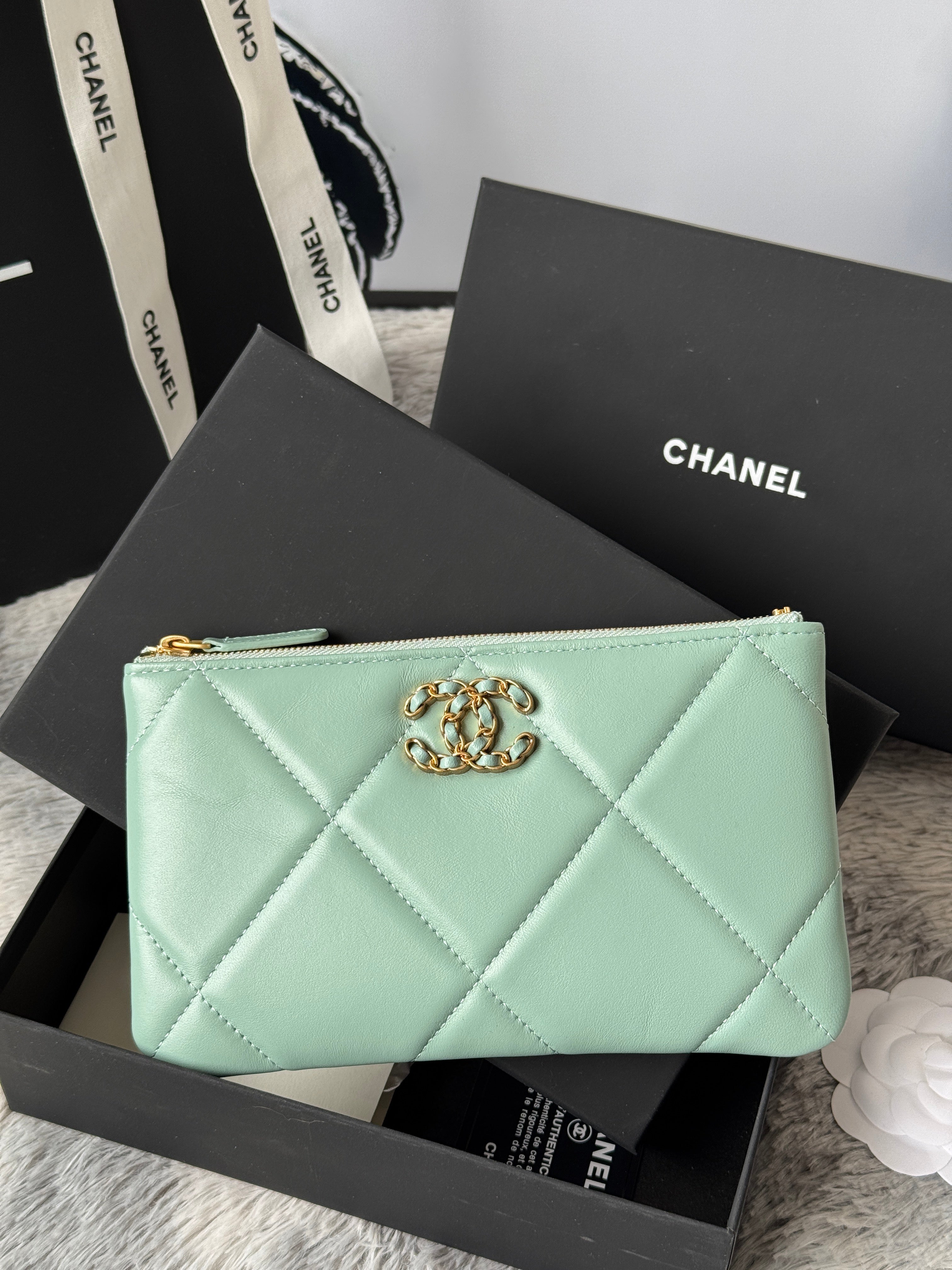 CLASSIC ZIPPER POUCH 20 IN BABY GREEN SMOOTH LAMBSKIN GOLD-TONE HARDWARE