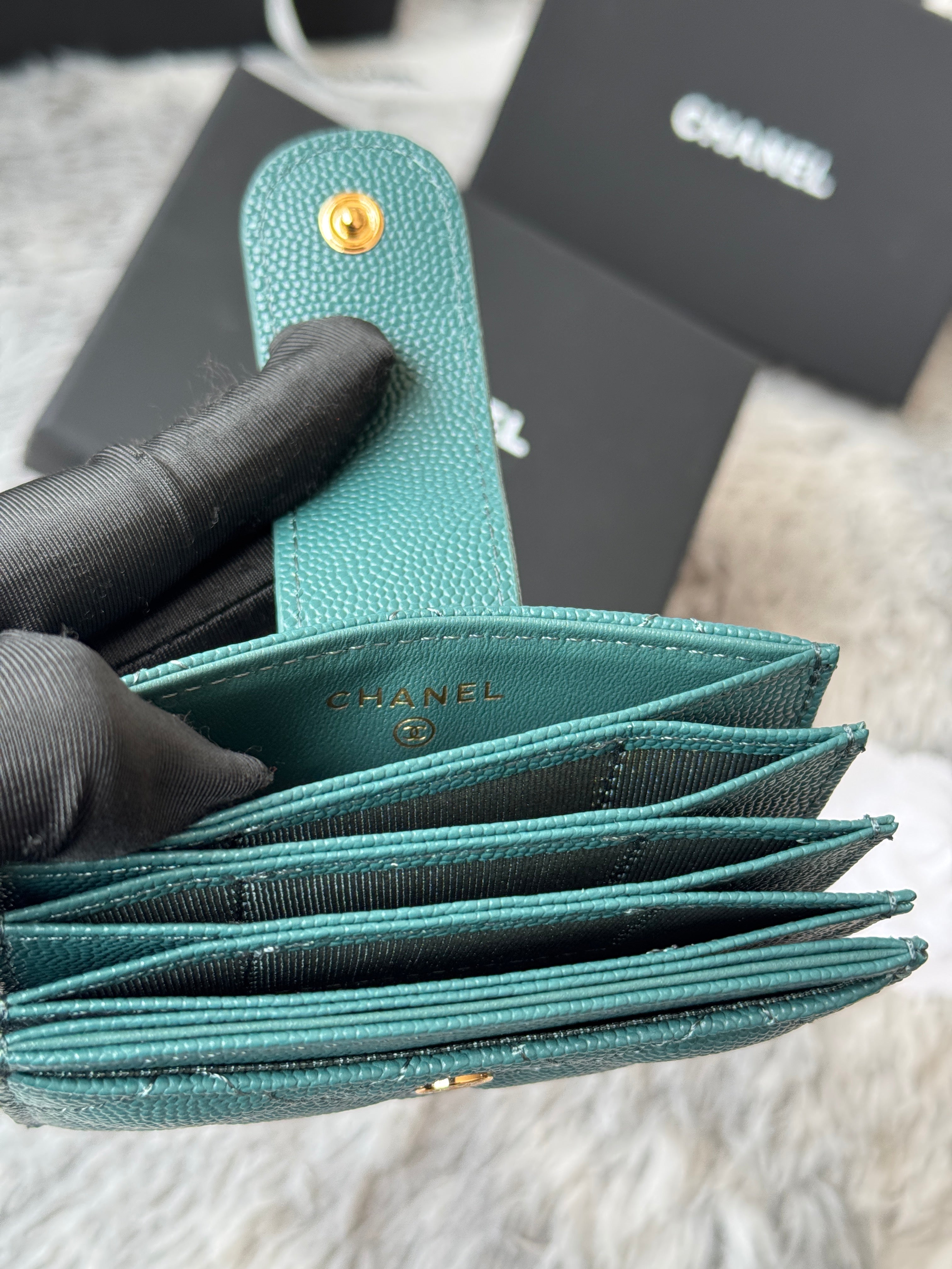 CARD HOLDER 10 CIRCLE CLASP IN NEPTUNE GREEN CAVIAR LEATHER GOLD-TONE METALLIC