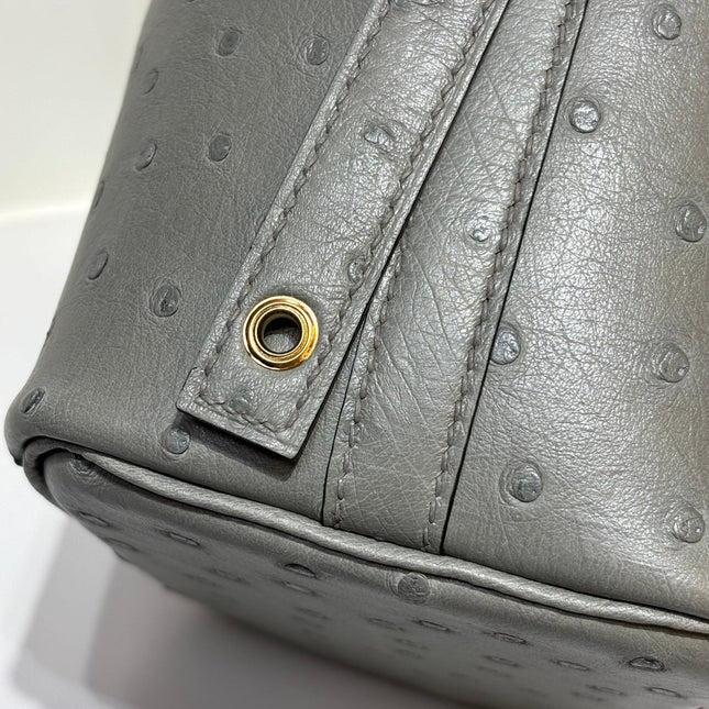HM 25S PICOTIN LOCK 14 CM IN GREY OSTRICH WITH GOLD HARDWARE