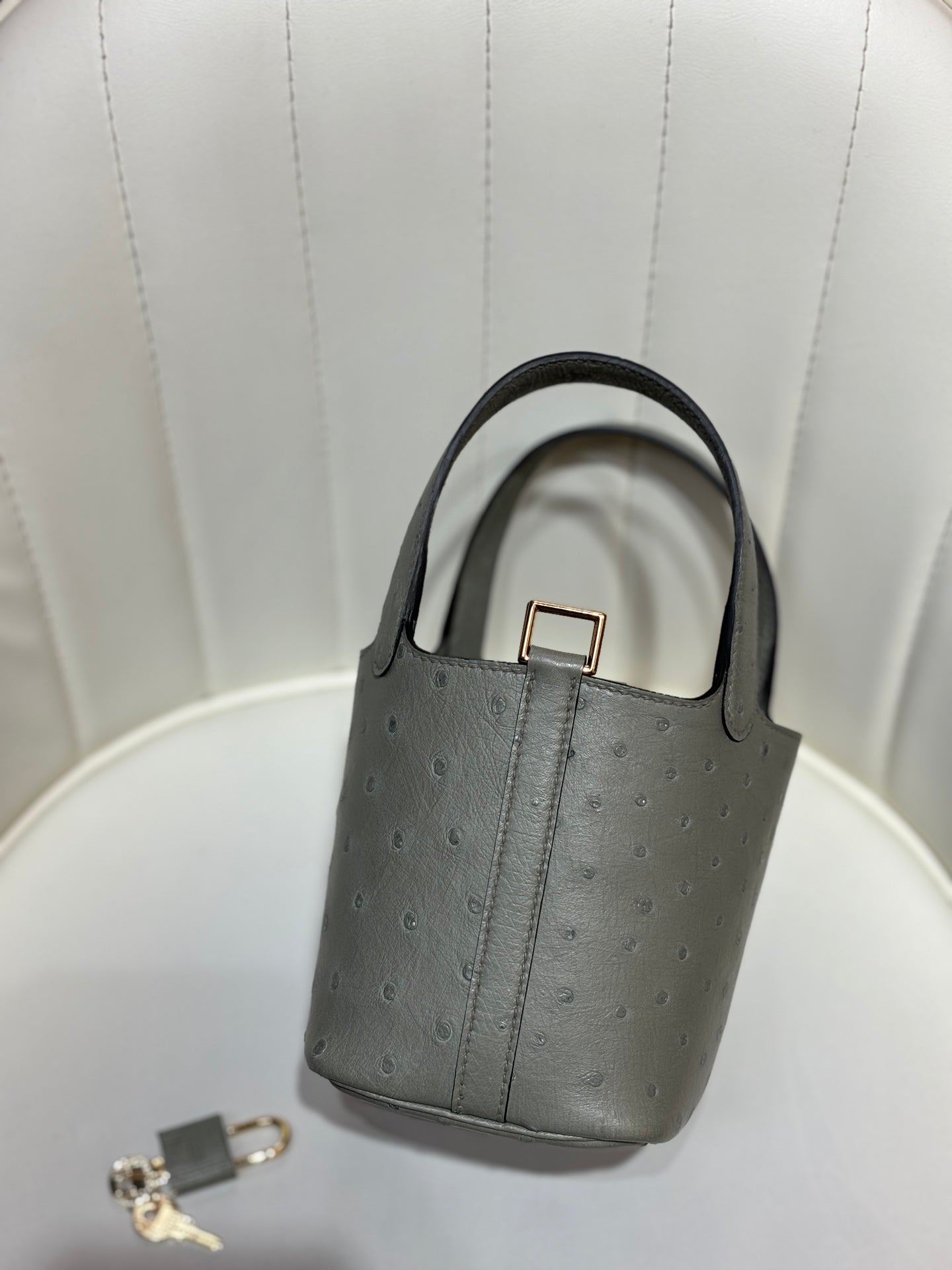 HM 25S PICOTIN LOCK 14 CM IN GREY OSTRICH WITH GOLD HARDWARE