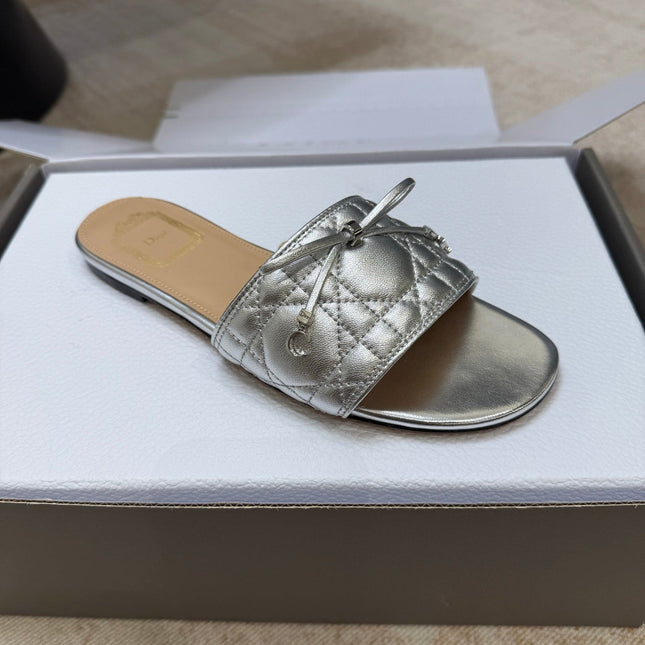 DIOR 26S DWAY CANNAGE SLIDE IN SILVER LAMBSKIN