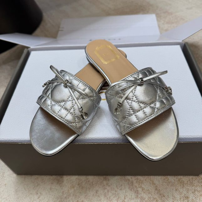 DIOR 26S DWAY CANNAGE SLIDE IN SILVER LAMBSKIN