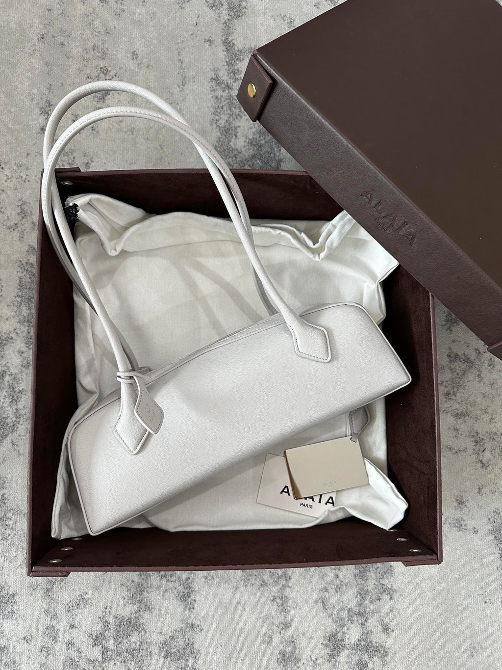 LE TECKEL MEDIUM BAG 32 IN PLATINUM GOATSKIN