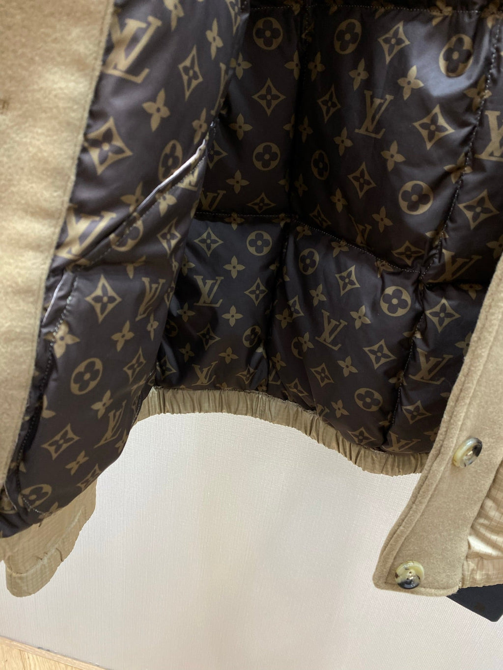 LV 25S DOWN JACKET 0123