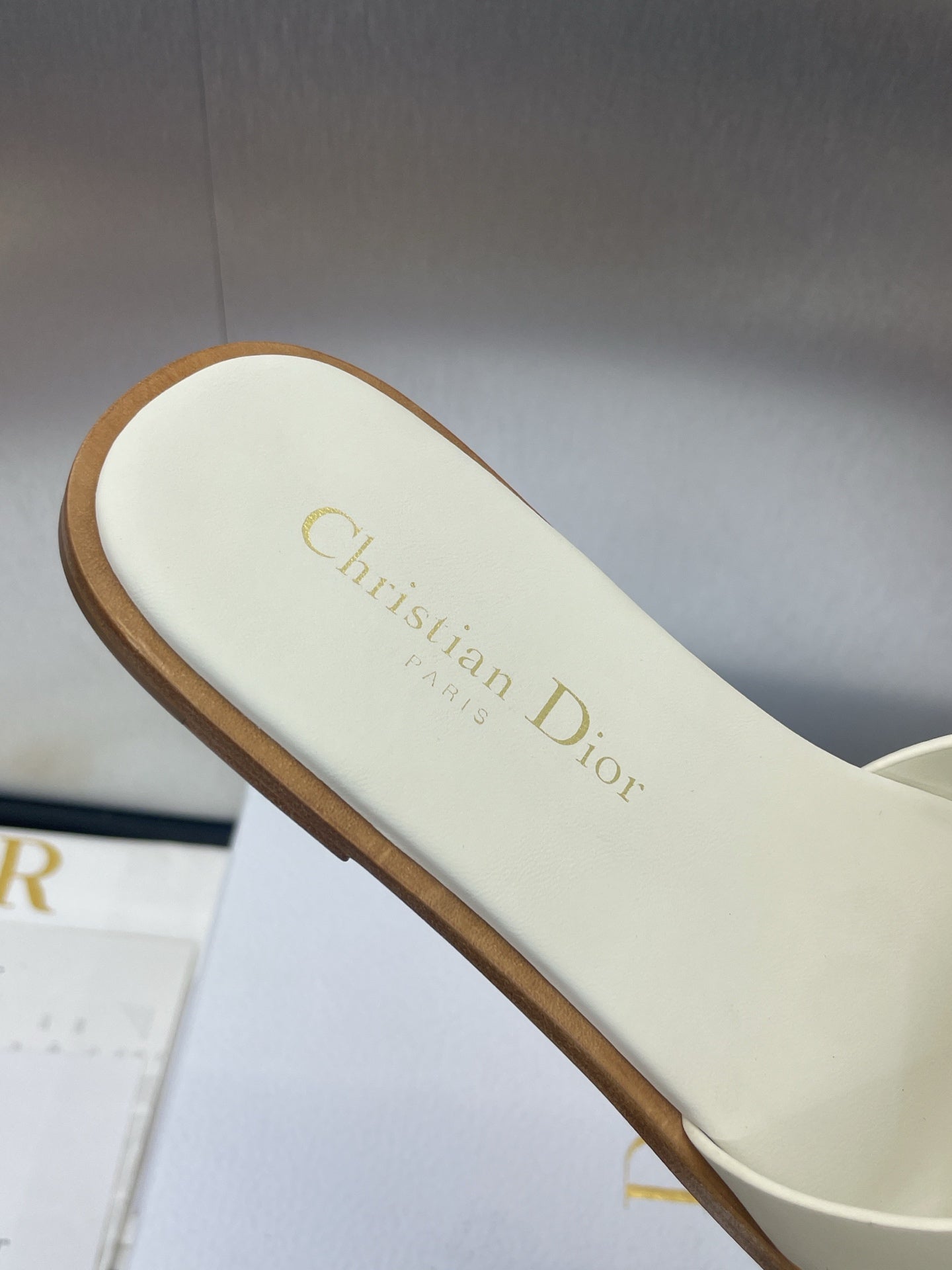 D-CLUB SLIDE SANDAL 25S IN WHITE CALFSKIN